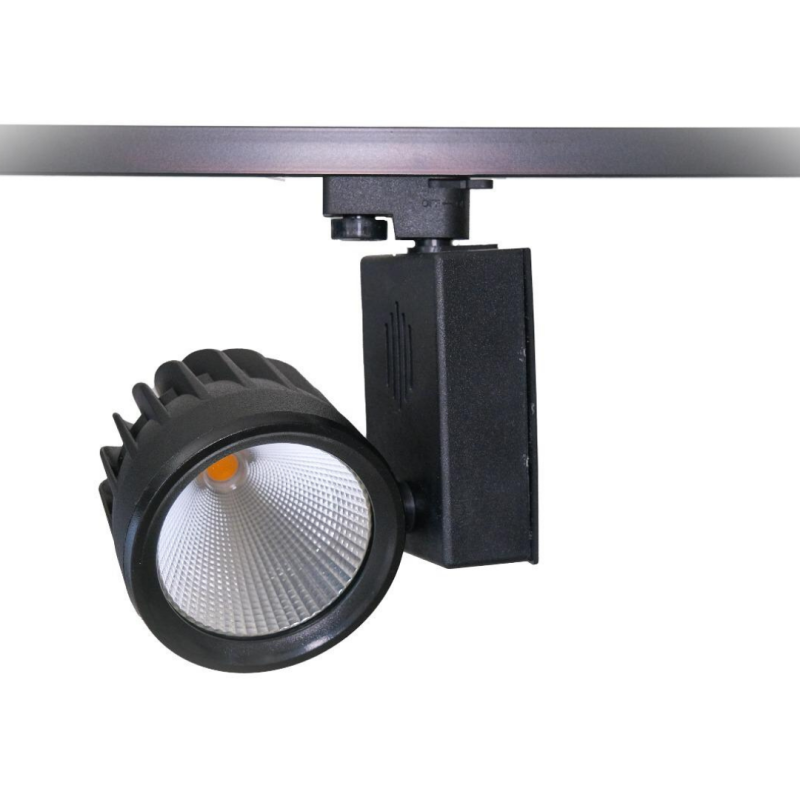 Philips Ledli 40W Monofaze Ray Spot Siyah Kasa Gün Işığı 3000 Kelvin